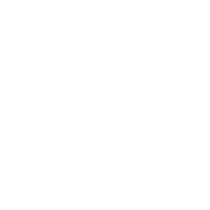 socialglobe logo white